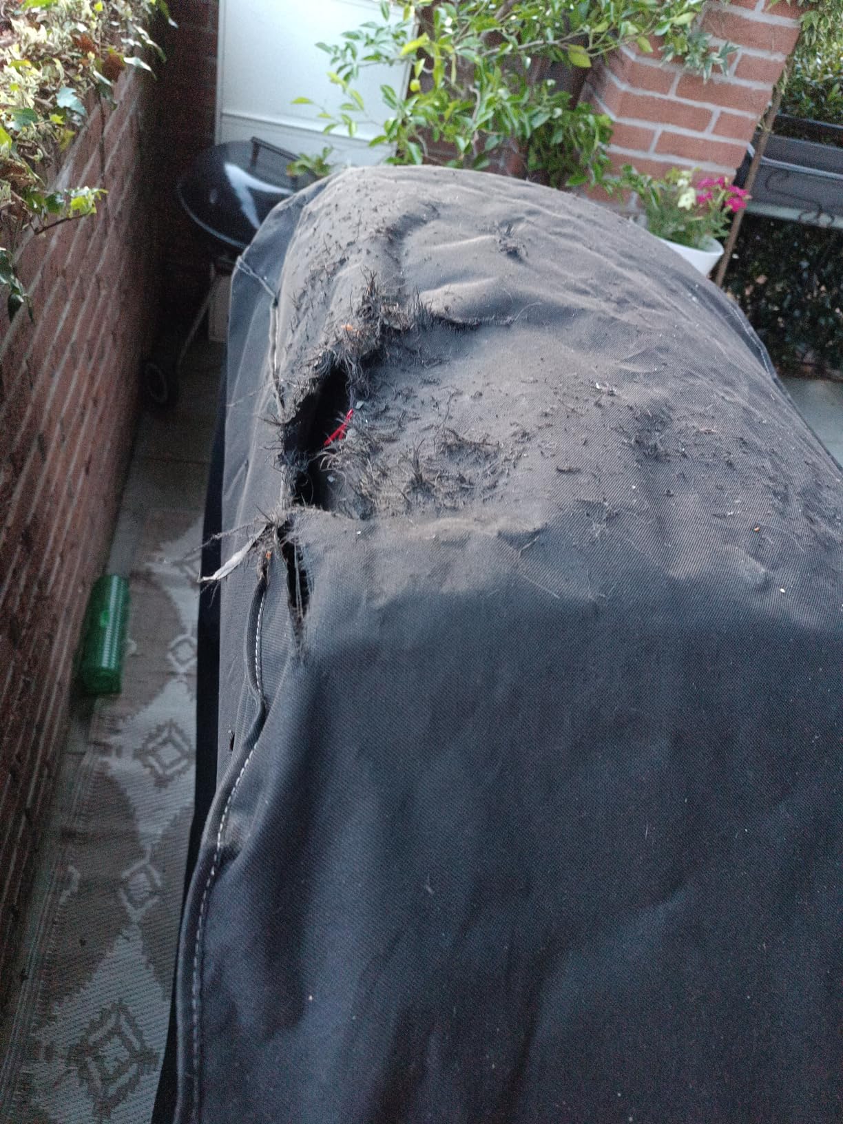 Hält Sturm aus
