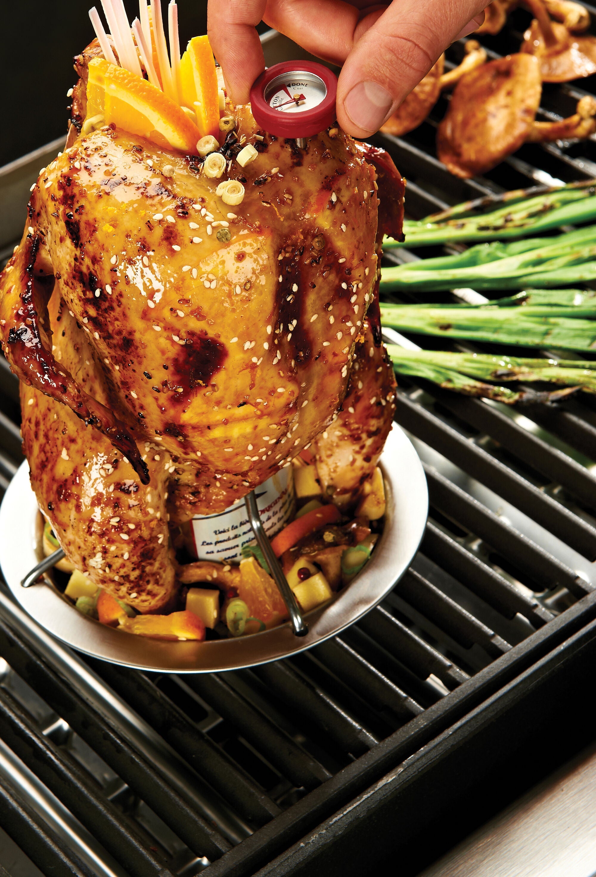broil-king-chicken-roaster-h-hnchenhalter-mit-schale-und-thermometer image 3